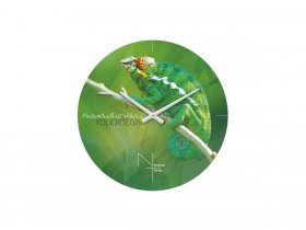 Часы настенные Nicole Time NT503 в Колывани - kolyvan.mebel-nsk.ru | фото
