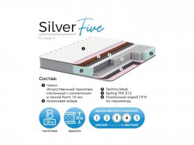Матрас Silver Five в Колывани - kolyvan.mebel-nsk.ru | фото